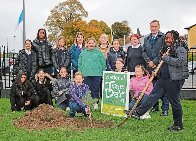 Longford Timber Firm help to connect  learning with real-world forestry