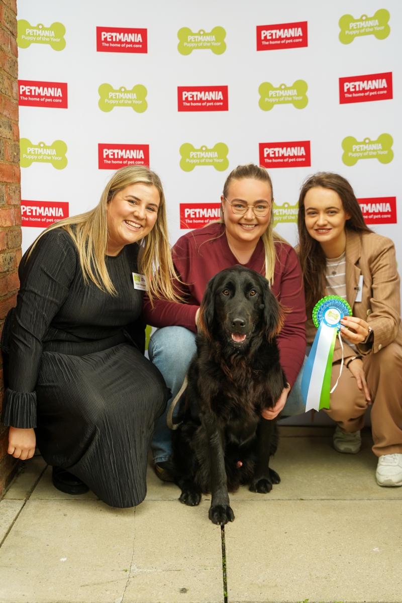 Petmania Puppy of the Year