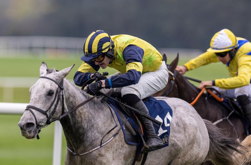 Longford horse trainer Paul Flynn lands a fantastic double at Punchestown