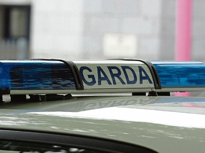 Man arrested following dramatic chase on busy Irish motorway after gun alert sparks panic