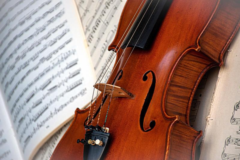 violin