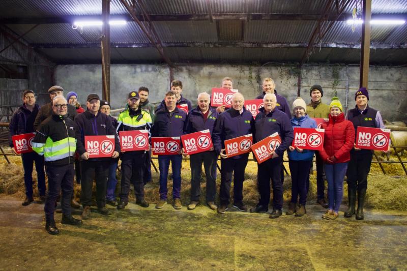 &lsquo;No Dogs Allowed&rsquo;: Longford sheep farmers highlight dangers of uncontrolled dogs 