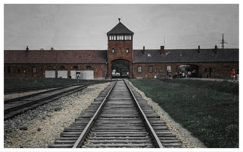 One in 10 Irish adults believe the Holocaust never happened, survey finds