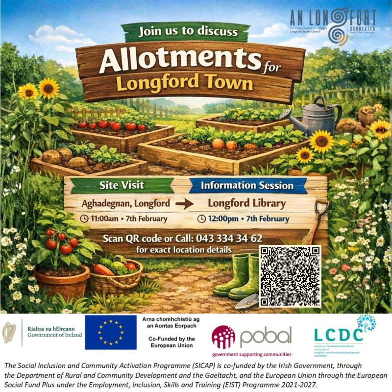 Longford allotment