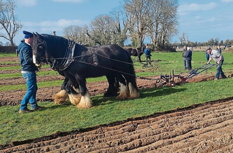 'Milestone event' Longford competitors to fore at 90th Ploughing Championships
