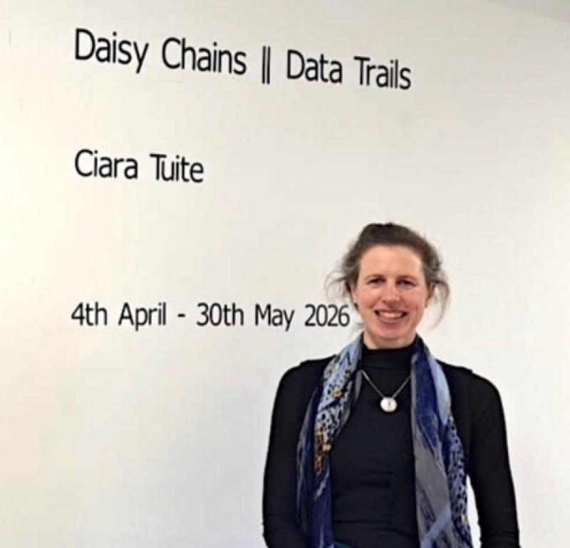 Talented Longford artist's new role as mother inspired some work in  fifth solo exhibition