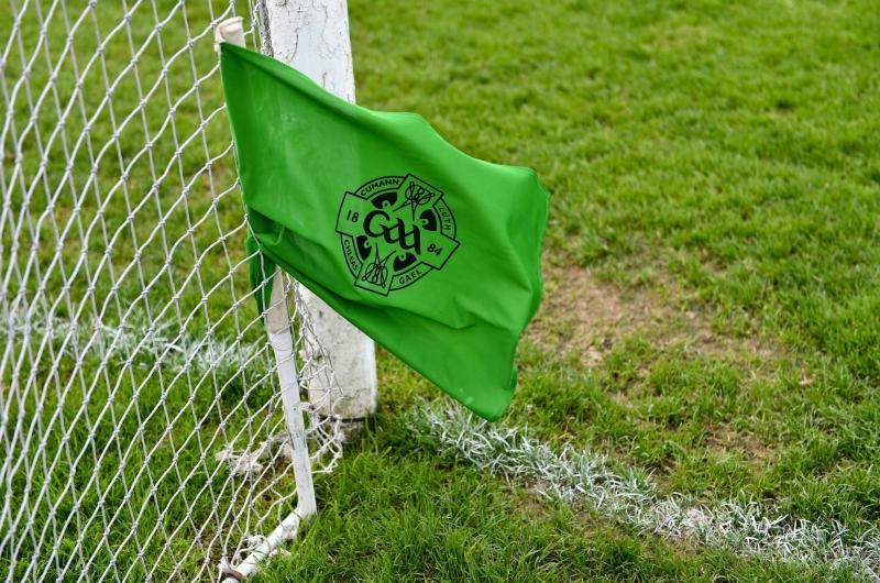 Young man who struck Longford GAA volunteer to be assessed by Probation Services