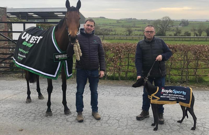 Racing stars align as Honeysuckle meets top greyhound Susie Sapphire