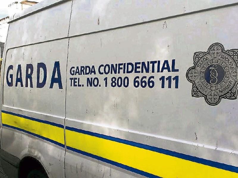 Sadness in West Limerick as man dies in farmyard accident