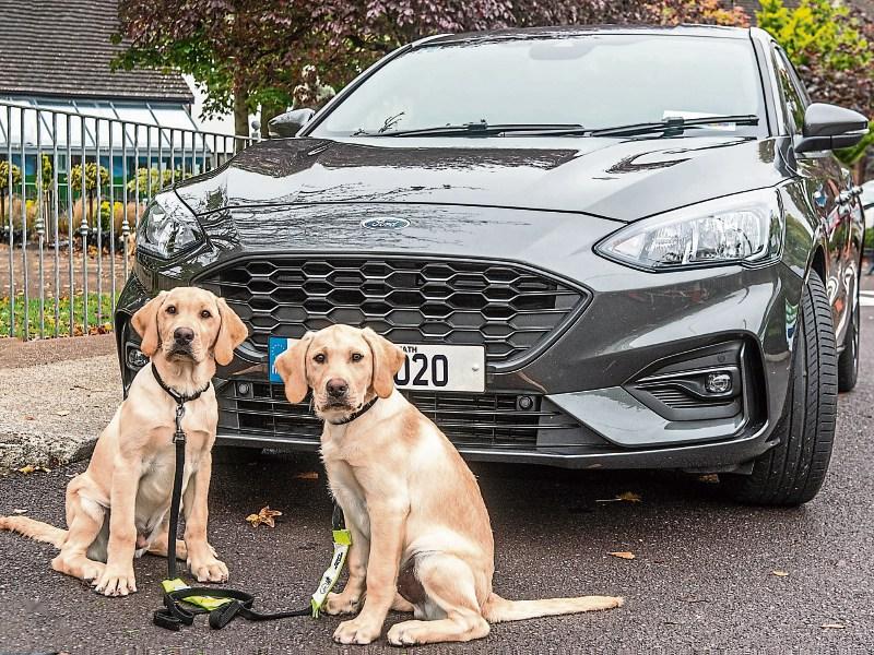 Ford raffle for Irish Guide Dogs