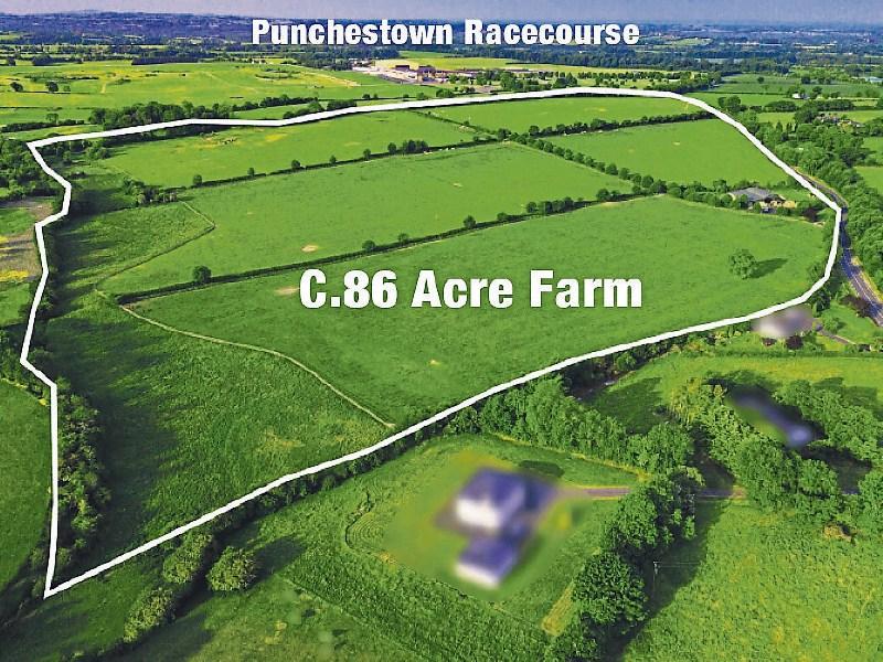 Land sells for €20,000 an acre as six people bid