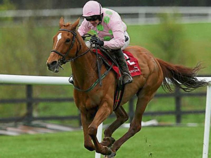 Cheltenham results: Day 2 racing,  Wednesday, March 13, 2019