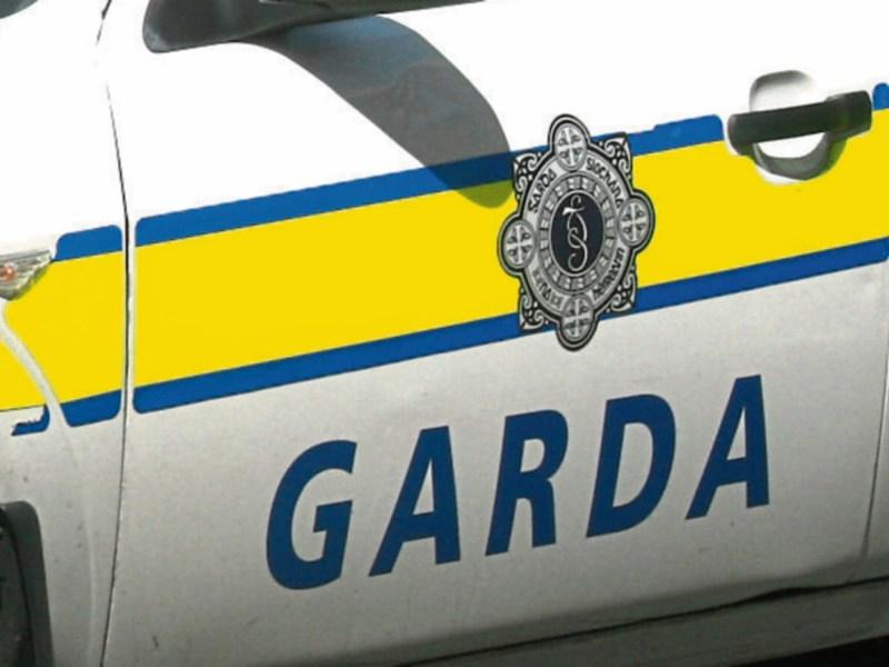 Five held after major Garda search operation in Ballymahon