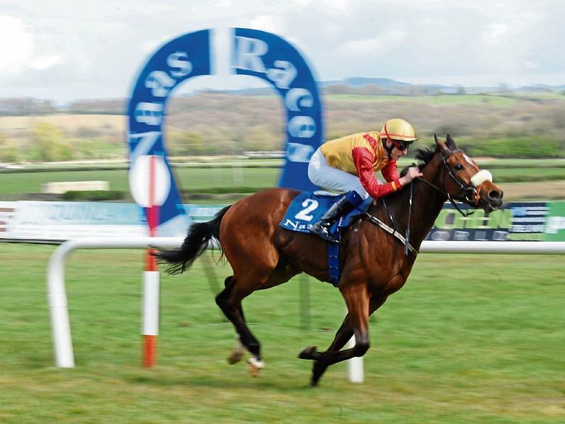 THE PUNTER'S EYE: Four horses that can 'Power' through the weekend