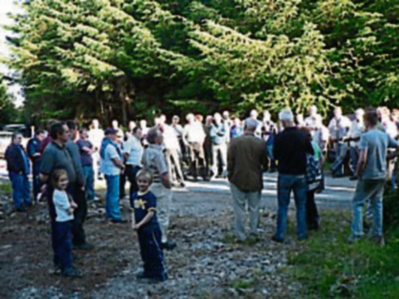 Ballinamuck forest walk