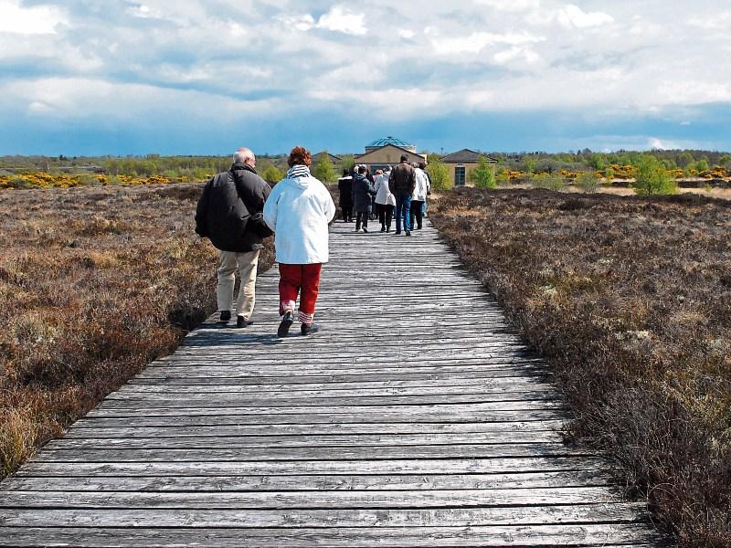 Bord Na Mona to develop Corlea Community Wetland