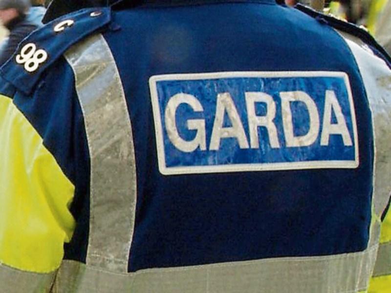 Edgeworthstown car fire probe