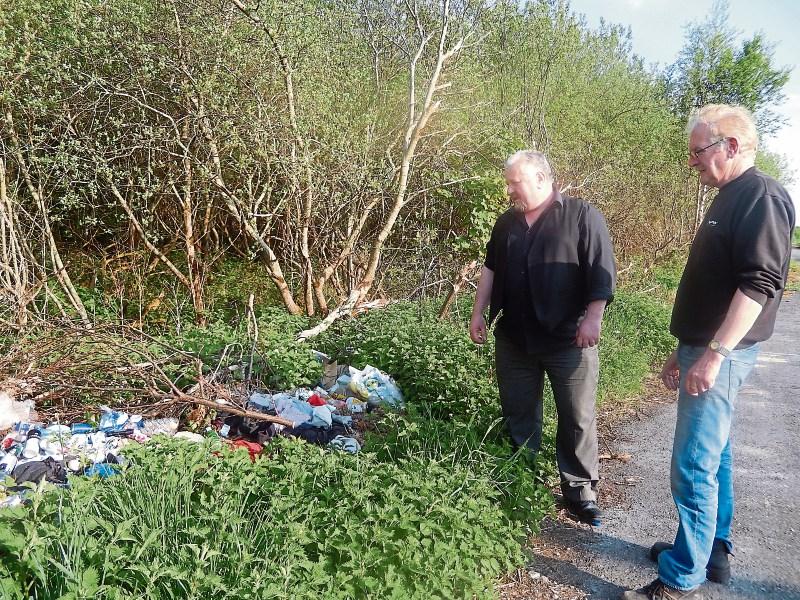 Illegal dumping near popular Longford tourist attraction