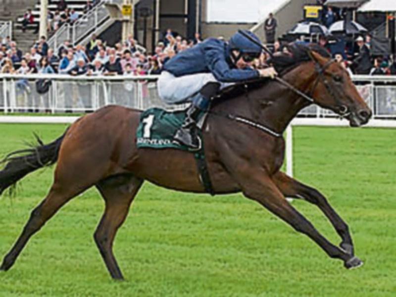 THE PUNTER'S EYE: Three horses to back this weekend