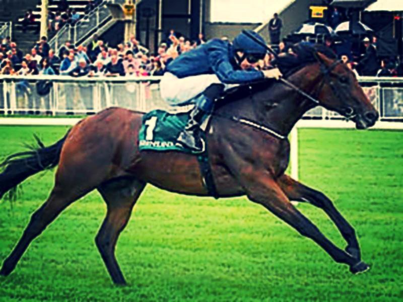 THE PUNTER'S EYE: Three horses to back this weekend