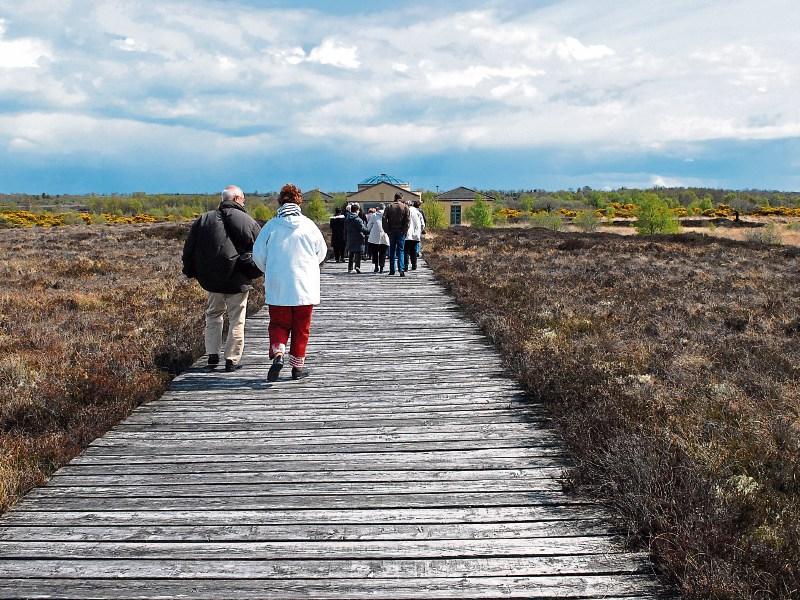 Corlea Trackway