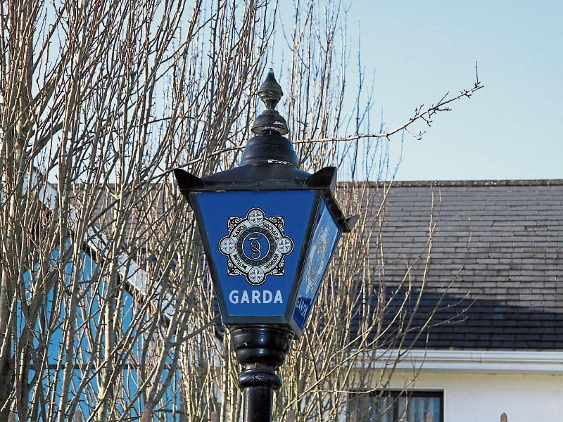 Gardaí probe alleged theft of Console boss's horse