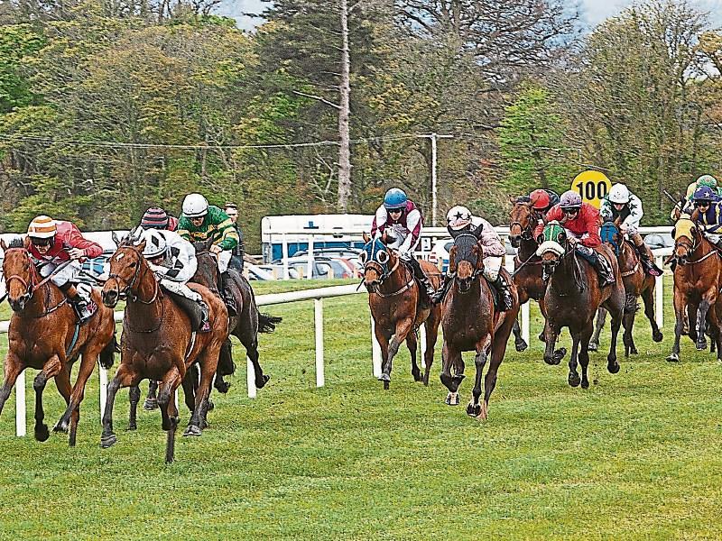 THE PUNTER'S EYE: Four horses worth a bet this weekend