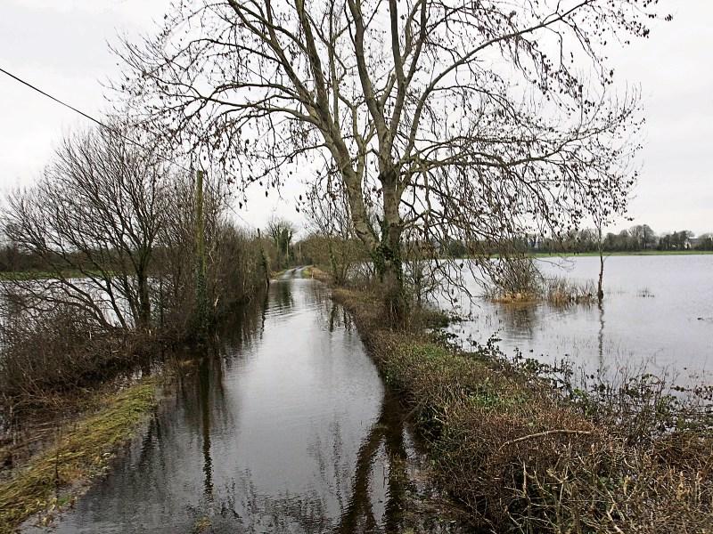 IFA calls for action on local flooding