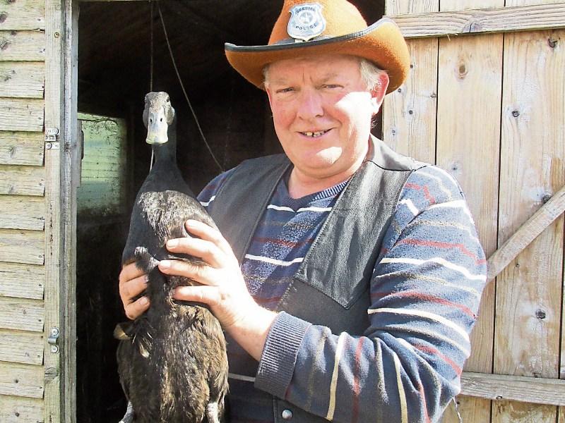 Co Longford's best known drake dies at the age of 15