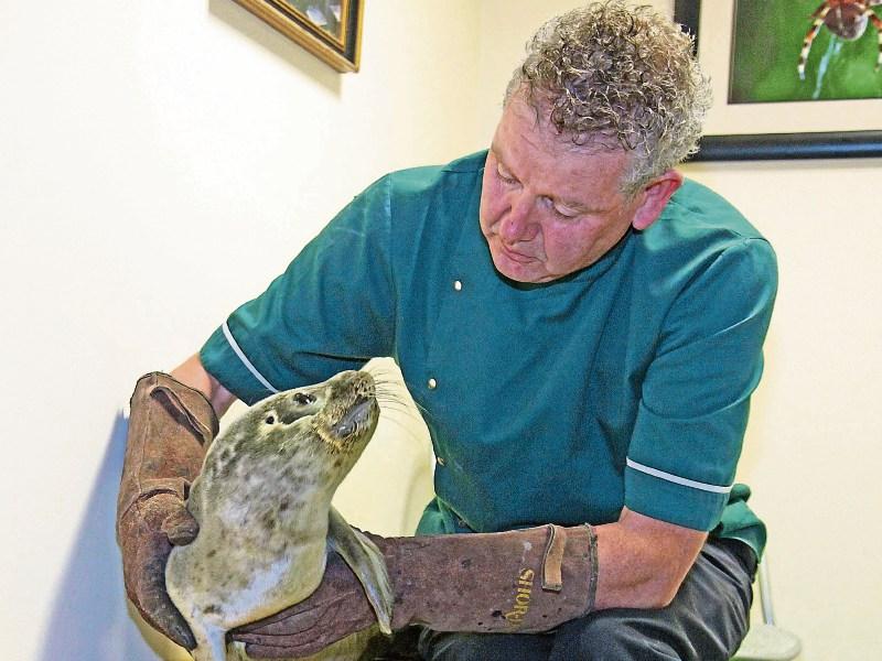 'Rapunzel' the seal makes waves with visit to local vet