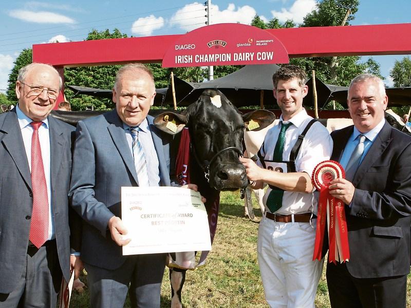 Killashee breeder wins top award