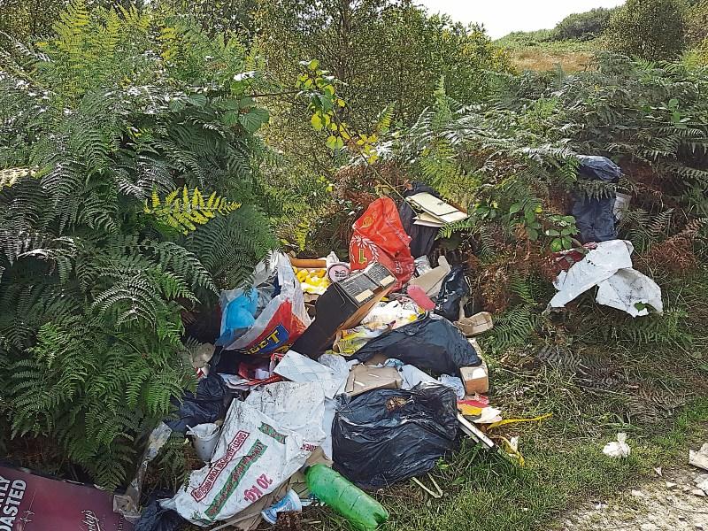 Scenic north Longford walk destroyed by litter