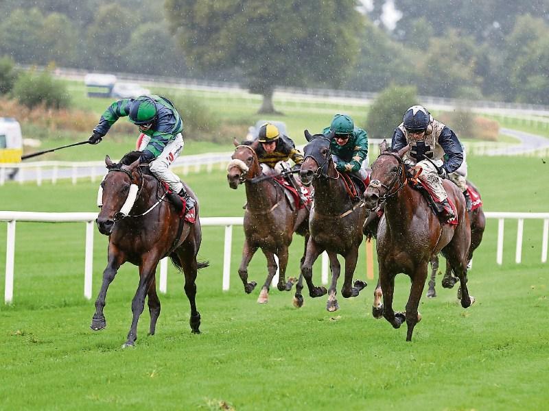 The Punter's Eye - Tips for Day 2 of the Cheltenham Festival