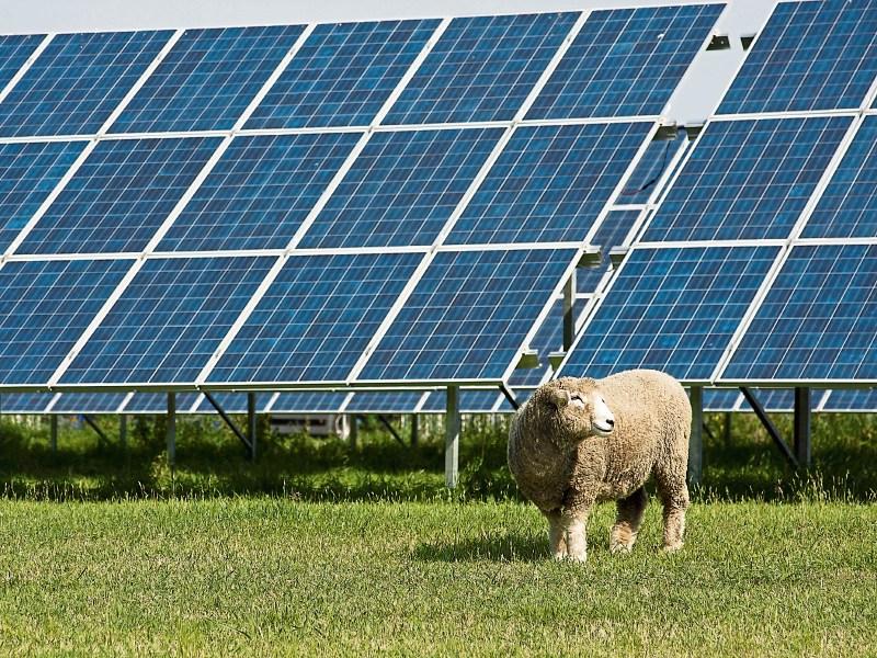 Solar farm
