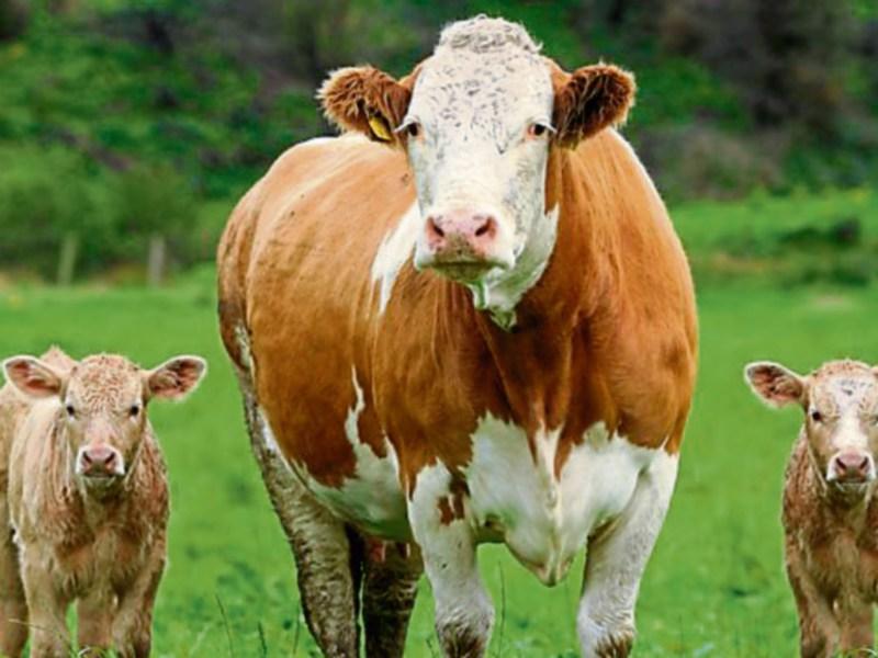 Basic payments should not fund farming organisations