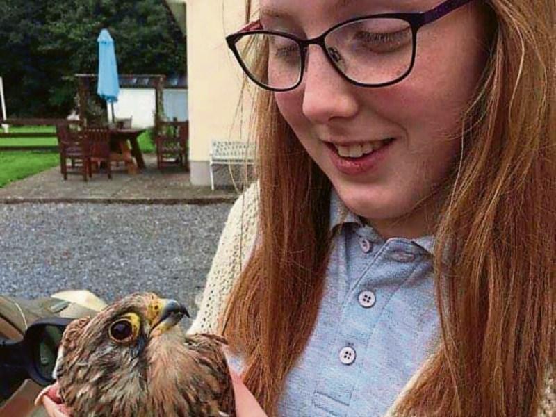 'I'll be watching out for wild birds from now on', says Longford County Councillor