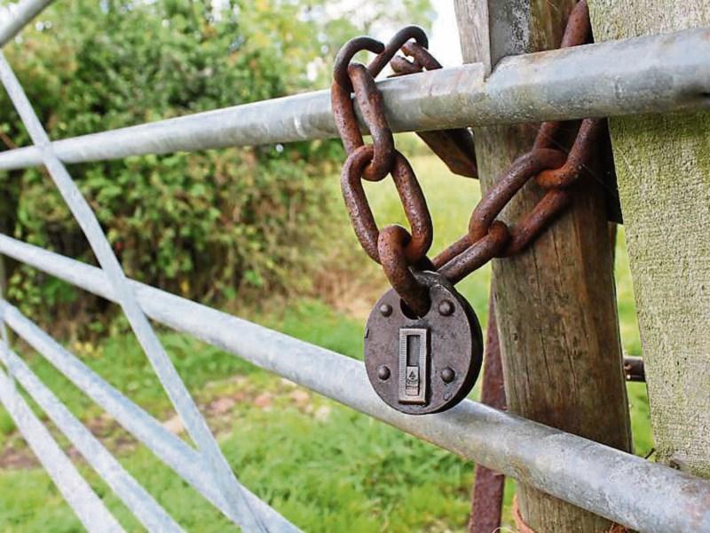 National Ploughing Championships