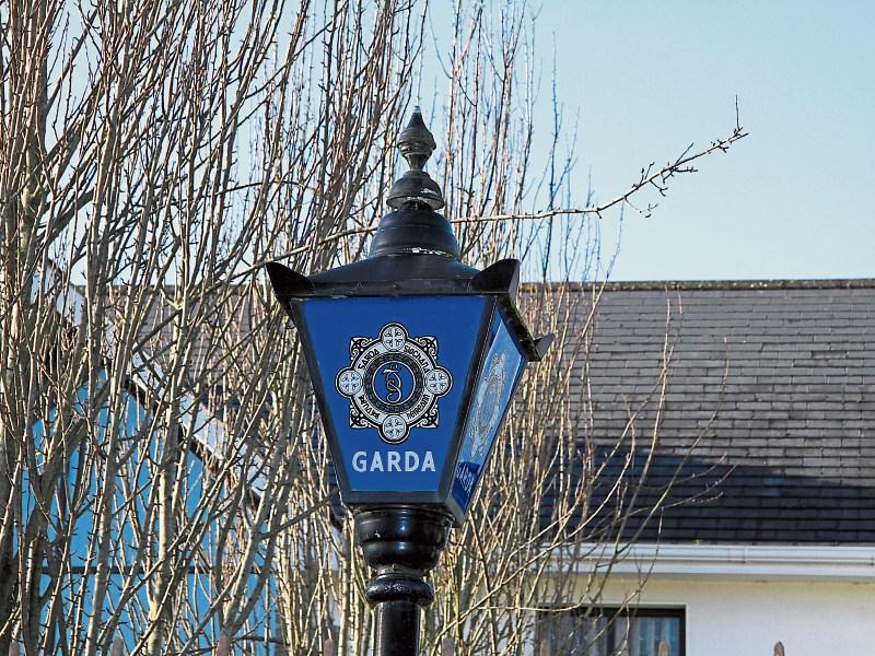 Longford Gardaí appeal for information in wake of thefts