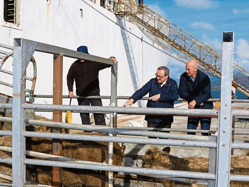 Longford Leader Farming: Exports to Turkey will help farmers