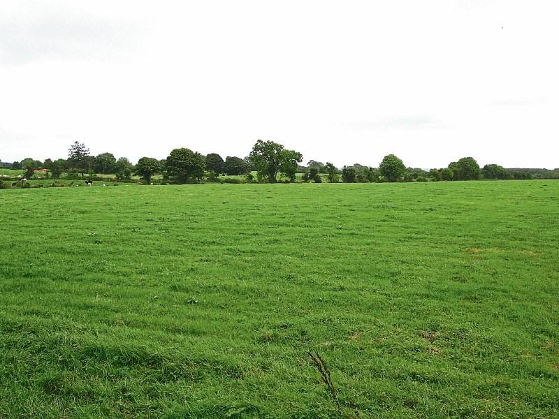 Granard farm sells for over €1m Longford Live