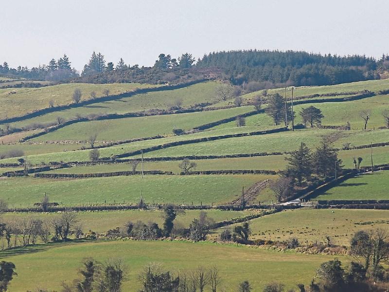 Prices to rise at a steady pace