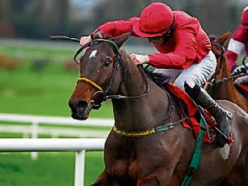 #StormBrian Alert:  Fairyhouse race meeting cancelled for health and safety reasons