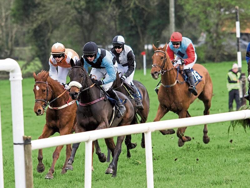 Top quality racing and catering at enjoyable Point to Point