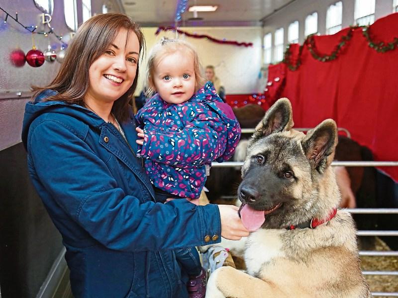 Longford's HHO takes animal welfare programme to another level