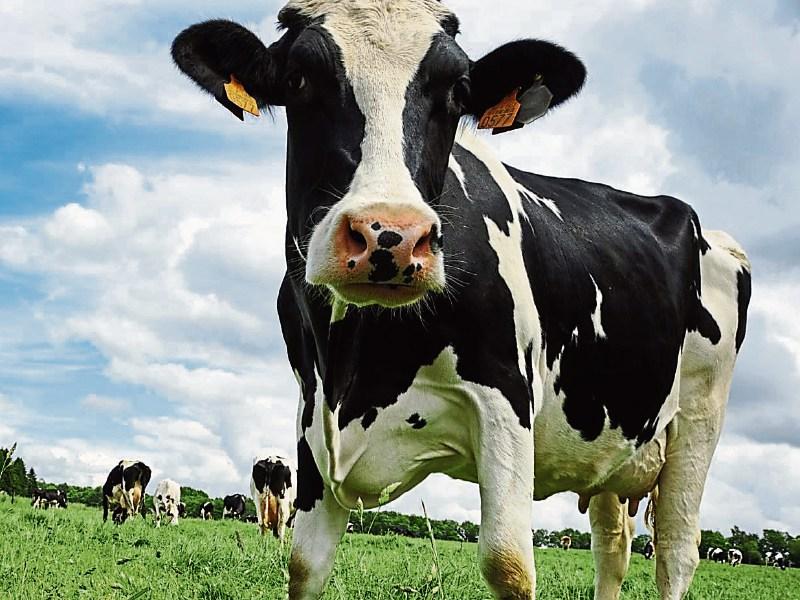IFA hits out at Department