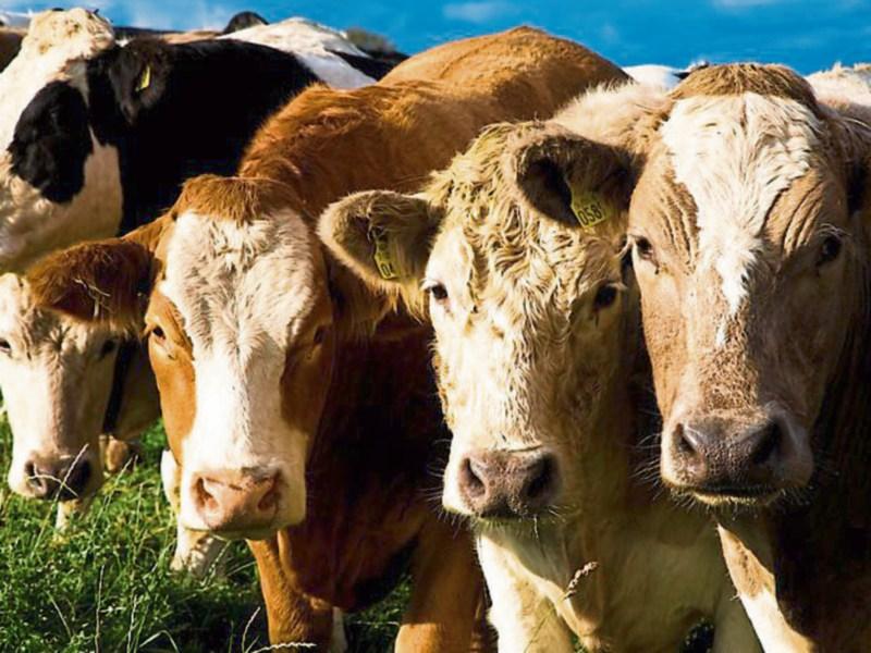 Longford farmers of Nitrates Derogation Application deadline