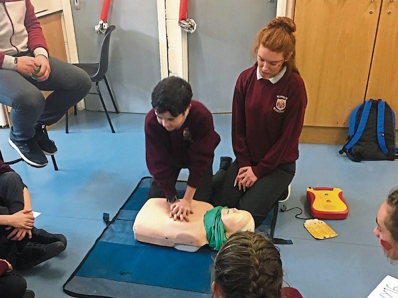 Ballymahon VS students get to 'The Heart of the Matter'