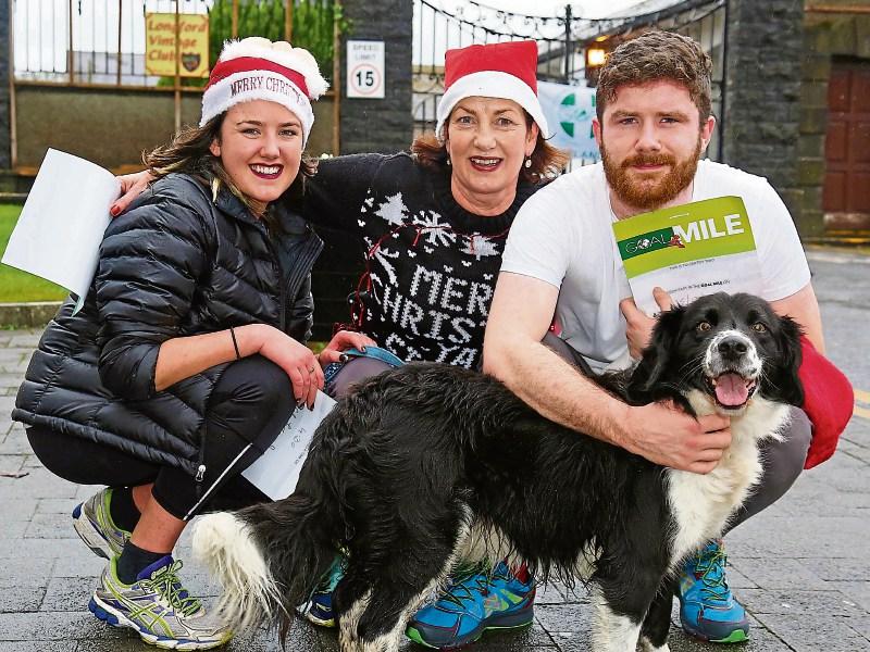 A pet in Longford is not just for Christmas