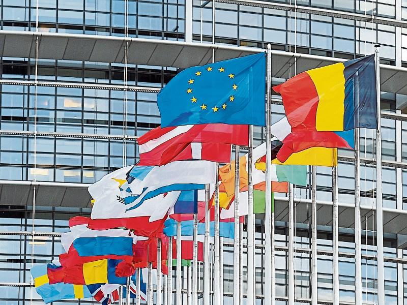 Longford Leader columnist: Since we joined EU we've been browbeaten into submission