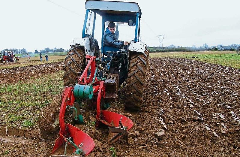Longford competitors excel at 2017 National Ploughing Championships 